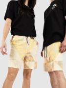 Stance Shelter Shorts brun