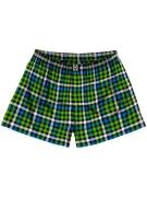 Horsefeathers Sonny Boksershorts grøn