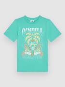 O'Neill Front Graphic Kids T-shirt blå