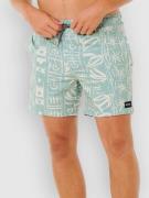 Rip Curl Sessions Volley Boardshorts blå