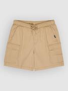 Quiksilver Taxer Cargo Shorts brun