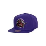 Lilla Raptors Team Ground 2.0 Fitted Hat