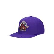 Lilla Raptors Team Ground 2.0 Snapback