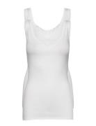 Top Top White Schiesser