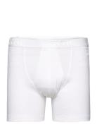 Dovre Benklæde M/K. Ben & Gylp Boxershorts White Dovre