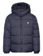 Puffer Jacket Foret Jakke Navy Timberland