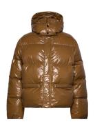 Golden Hour Jacket Foret Jakke Brown H2O Fagerholt