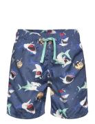 Swimshorts Aop Badeshorts Blue Lindex