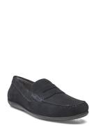 U Ascanio C Loafers Flade Sko Navy GEOX