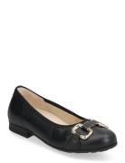 Ballerina Ballerinasko Ballerinaer Black Gabor