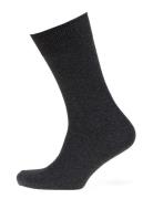 Claudio Socks Solid Colours Underwear Socks Regular Socks Grey Claudio