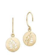 Signature Earring - Gold Ørestickere Smykker Gold Julie Sandlau