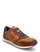 Earland Low-top Sneakers Brown Lloyd