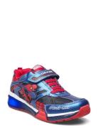 J Bayonyc Boy B Low-top Sneakers Multi/patterned GEOX