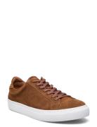 Type - Cognac Suede Low-top Sneakers Brown Garment Project