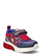 J Ciberdron Boy F Low-top Sneakers Multi/patterned GEOX