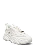 Possession-E Sneaker Low-top Sneakers White Steve Madden