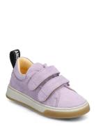 Shoes - Flat - With Velcro Low-top Sneakers Purple ANGULUS