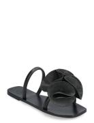 Isernia Black Vacchetta Flade Sandaler Black ATP Atelier