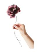 Paper Flower, Peony Home Decoration Paper Flowers Purple Studio About