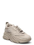 Possession-E Sneaker Low-top Sneakers Beige Steve Madden