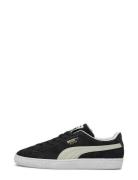 Suede Classic Xxi Sport Sneakers Low-top Sneakers Black PUMA