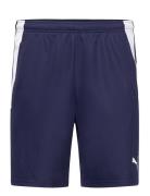 Teamliga Training Shorts 2  Sport Shorts Sport Shorts Navy PUMA