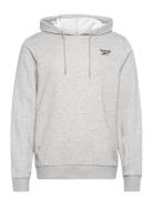 Ri Ft Left Chest Oth Sport Sweatshirts & Hoodies Hoodies Grey Reebok C...