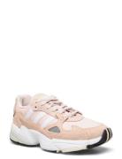 Falcon Shoes Sport Sneakers Low-top Sneakers Beige Adidas Originals