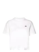 F Oakport Boxy Ss Tee Tops T-shirts & Tops Short-sleeved White Dickies