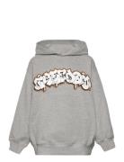 Maxx Tops Sweatshirts & Hoodies Hoodies Grey Molo