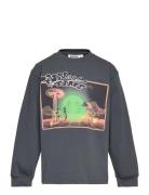 Rube Tops Sweatshirts & Hoodies Sweatshirts Grey Molo