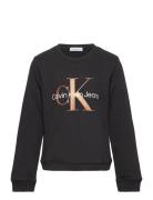 Bronze Monogram Cn Sweatshirt Tops Sweatshirts & Hoodies Sweatshirts B...