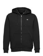 Oakport Zip Hoodie Designers Sweatshirts & Hoodies Hoodies Black Dicki...