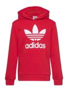 Trefoil Hoodie Sport Sweatshirts & Hoodies Hoodies Red Adidas Original...