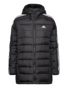 W Ess 3S L D Hp Sport Jackets Padded Jacket Black Adidas Sportswear