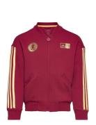 Lk Dy 100 Tt Sport Sweatshirts & Hoodies Sweatshirts Burgundy Adidas P...