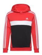 J 3S Tib Fl Hd Sport Sweatshirts & Hoodies Hoodies Red Adidas Sportswe...