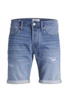 Jjirick Jjicon Shorts Ge 709 I.k Ss24 Sn Bottoms Shorts Denim Blue Jac...