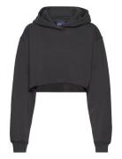 Danarion_B Tops Sweatshirts & Hoodies Hoodies Black HUGO BLUE