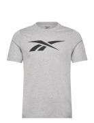 Gs Vector Tee Tops T-Kortærmet Skjorte Grey Reebok Performance