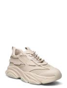 Possess Sneaker Low-top Sneakers Beige Steve Madden