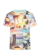 T-Shirt Ss Aop Tops T-Kortærmet Skjorte Green Minymo