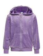 Hoodjacket Velour Tops Sweatshirts & Hoodies Hoodies Purple Lindex