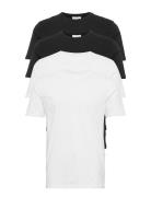 4Pk Basic Tee S/S Tops T-Kortærmet Skjorte Lindbergh