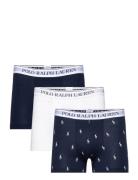 Bci Cotton/Elastane-3Pk-Trn Boxershorts Navy Polo Ralph Lauren Underwe...