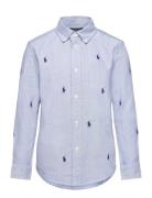 Polo Pony Cotton Oxford Shirt Tops Shirts Long-sleeved Shirts Blue Ral...