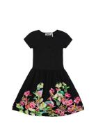 Cissa Dresses & Skirts Dresses Partydresses Black Molo