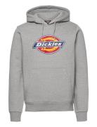 Icon Logo Hoodie Tops Sweatshirts & Hoodies Hoodies Grey Dickies