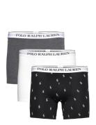 Stretch Cotton Boxer Brief 3-Pack Boxershorts Black Polo Ralph Lauren ...